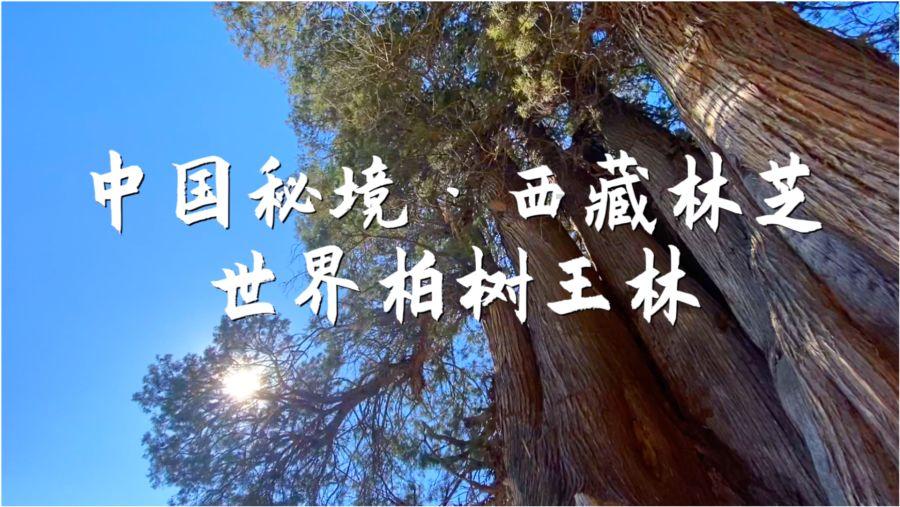 我想问一下北京服装学院艺术设计系研究生导师有哪几个啊?联系方式是多少 | 网上有问必答平台 | 有问必答